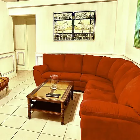 Apartment Proche Cannes, Spacieux Appartement, Jardin Et Piscine Prive Vallauris
