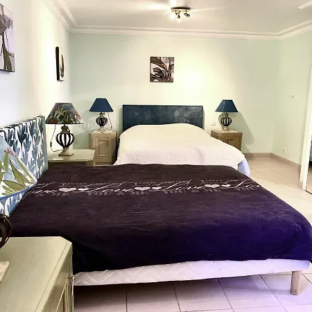 Apartment Proche Cannes, Spacieux Appartement, Jardin Et Piscine Prive *