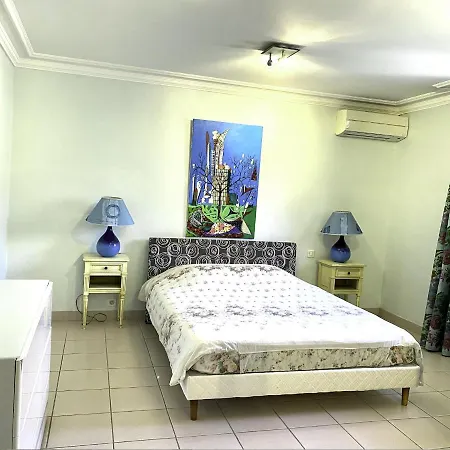 Apartment Proche Cannes, Spacieux Appartement, Jardin Et Piscine Prive Vallauris