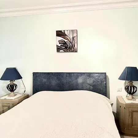 Proche Cannes, Spacieux Appartement, Jardin Et Piscine Prive *
