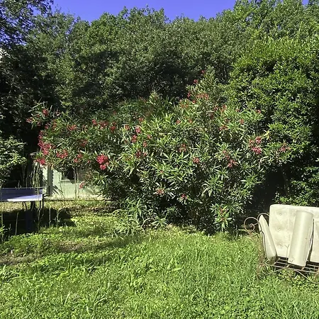 Proche Cannes, Spacieux Appartement, Jardin Et Piscine Prive