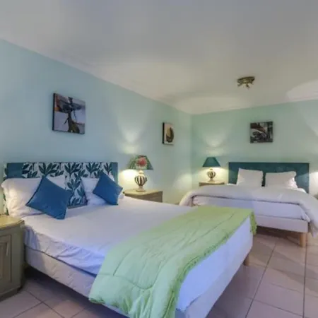 Proche Cannes, Spacieux Appartement, Jardin Et Piscine Prive Apartment *